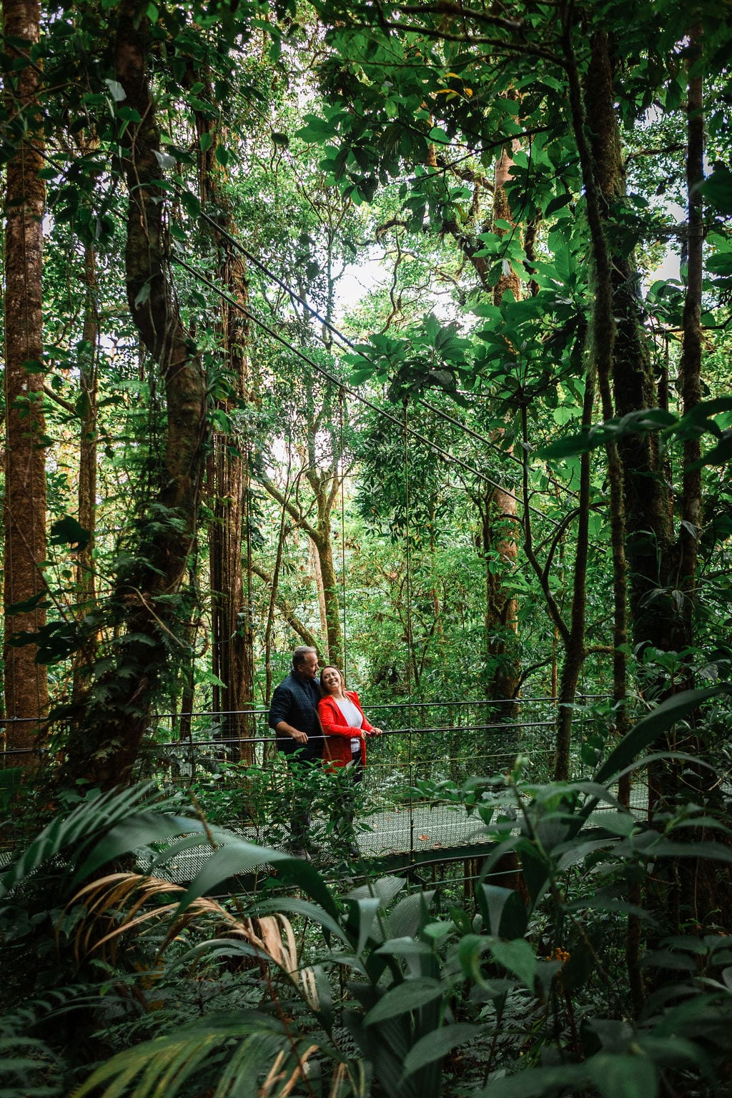 Zipline adventure through the jungle canopy